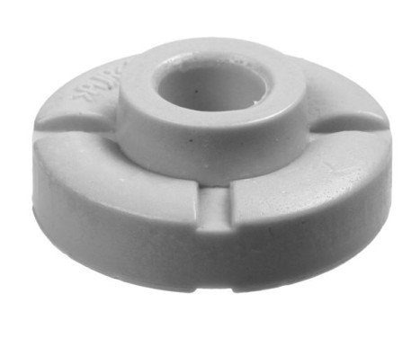 Top Strut Mount