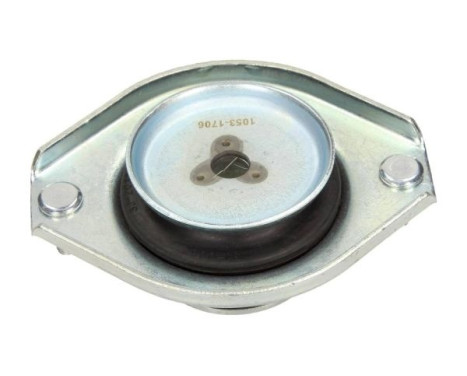 Top Strut Mount