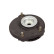 Top Strut Mount