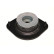 Top Strut Mount