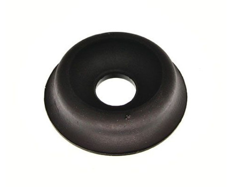 Top Strut Mount