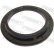 Anti-Friction Bearing, suspension strut support mounting