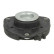 Repair kit, Ring for shock absorber strut bearing