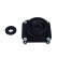 Repair Kit, suspension strut