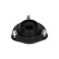 Repair Kit, suspension strut