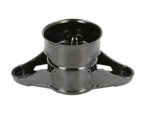 Strut holder