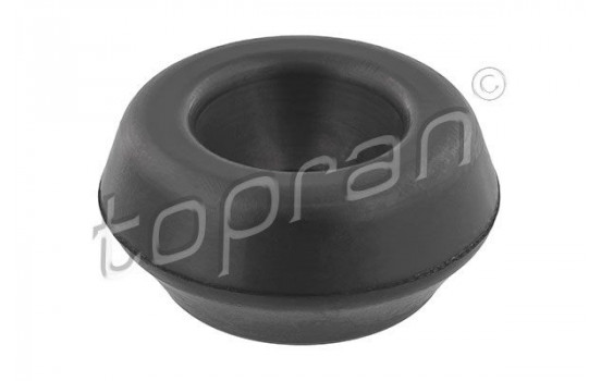 Top Strut Mounting