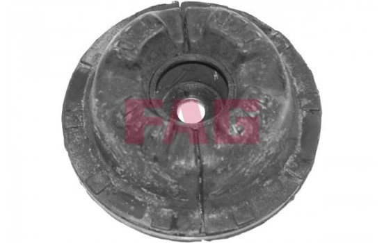 Top Strut Mounting
