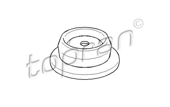 Top Strut Mounting