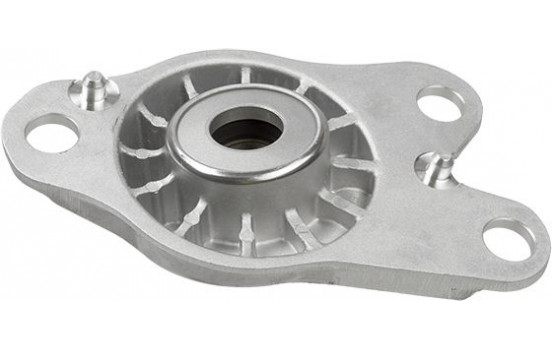 Top Strut Mounting