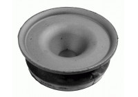 Top Strut Mounting
