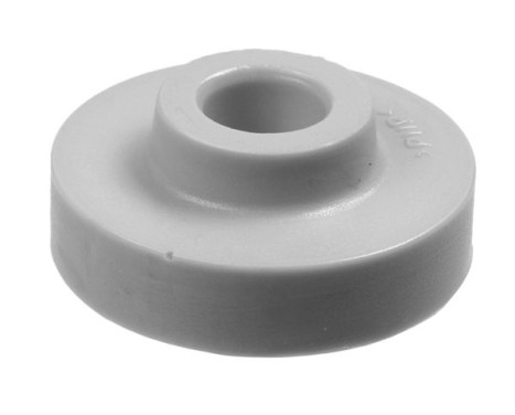 Top Strut Mounting