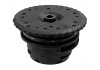 Top Strut Mounting