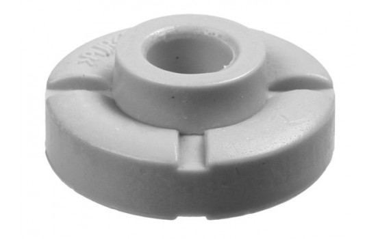 Top Strut Mounting