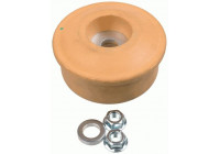 Top Strut Mounting