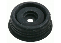 Top Strut Mounting