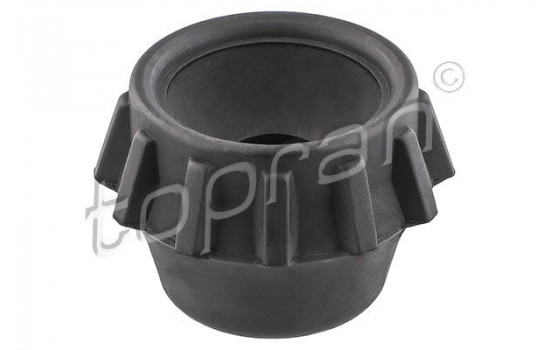 Top Strut Mounting