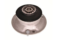 Top Strut Mounting