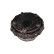 Top Strut Mounting, Thumbnail 2