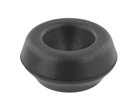 Top Strut Mounting