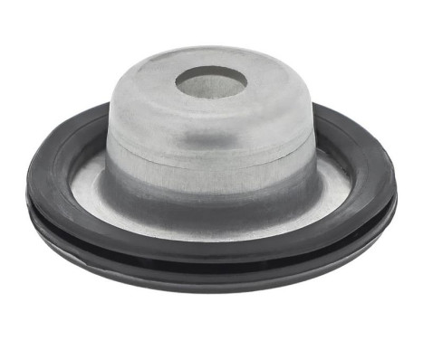 Top Strut Mounting