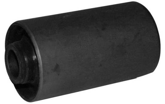 Bush, leaf spring