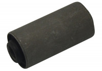 Bush, leaf spring