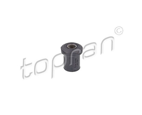 Bush, leaf spring