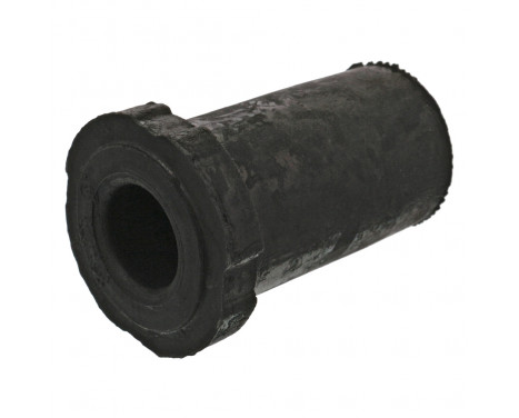 Bush, leaf spring