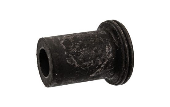 Bush, leaf spring