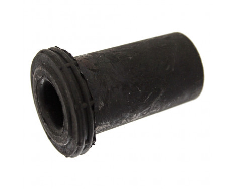 Bush, leaf spring