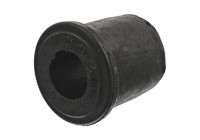 Bush, leaf spring