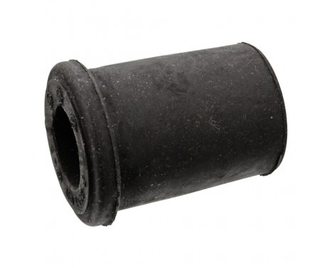 Bush, leaf spring