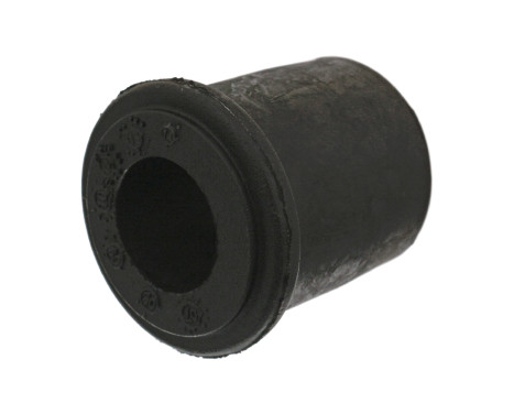 Bush, leaf spring