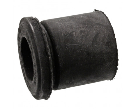 Bush, leaf spring