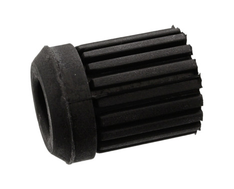 Bush, leaf spring