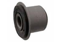 Bush, leaf spring