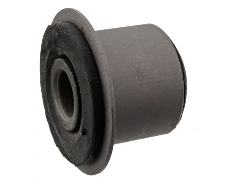 Bush, leaf spring