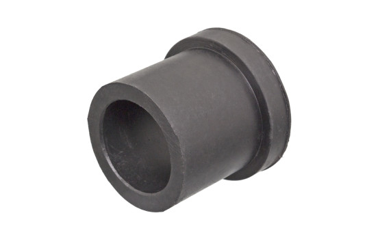 Bush, leaf spring
