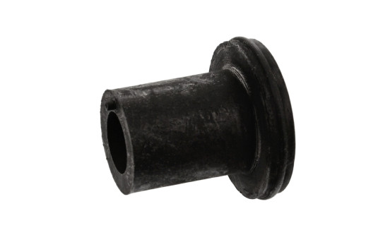 Bush, leaf spring
