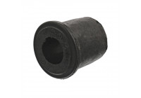 Bush, leaf spring
