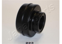Bush, leaf spring