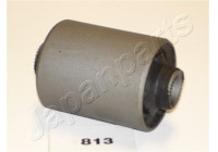Bush, leaf spring