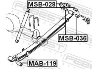 Bush, leaf spring