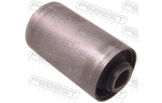 Bush, leaf spring