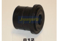 Bush, leaf spring