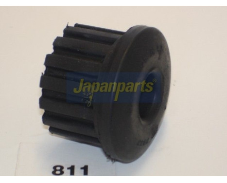 Bush, leaf spring