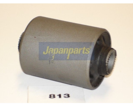 Bush, leaf spring