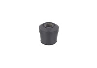 Bush, leaf spring