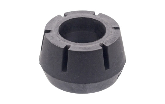 Top Strut Mounting